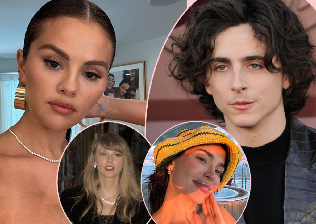 Lip Reader Says Selena Gomez WAS Talking About Timothée Chalamet But