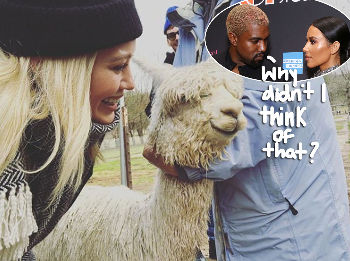 Hilary Duff Alpaca Celebrity Valentine's Day Gifts