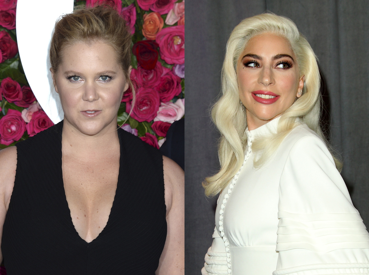amy-schumer-lady-gaga