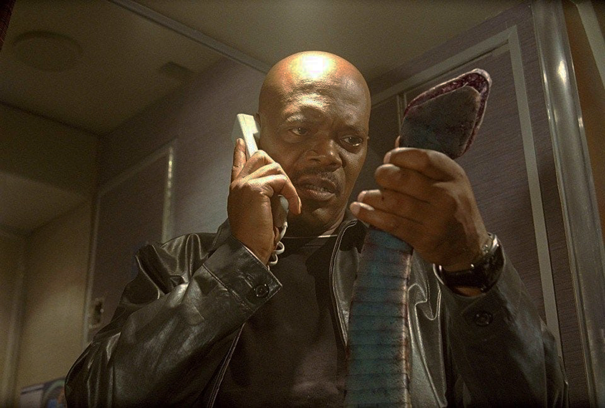 snake found woman shoe flight