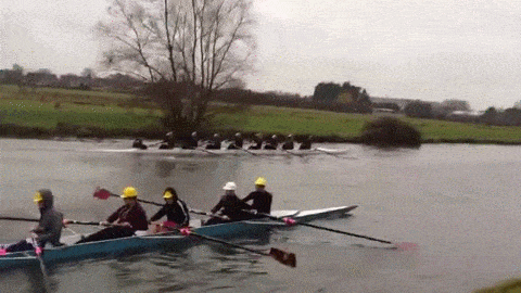 Rowing team fall