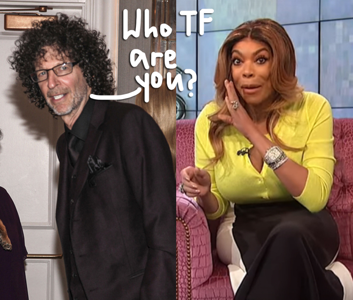 Howard Stern goes hard on Wendy Williams after she shades him.