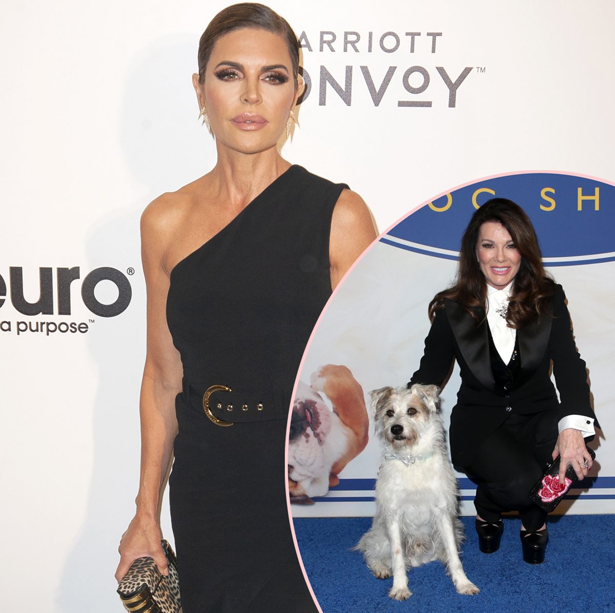 Forum on this topic: Lisa Vanderpump, lisa-vanderpump/ Discussion on this topic: Lynne Miller, lisa-vanderpump/
