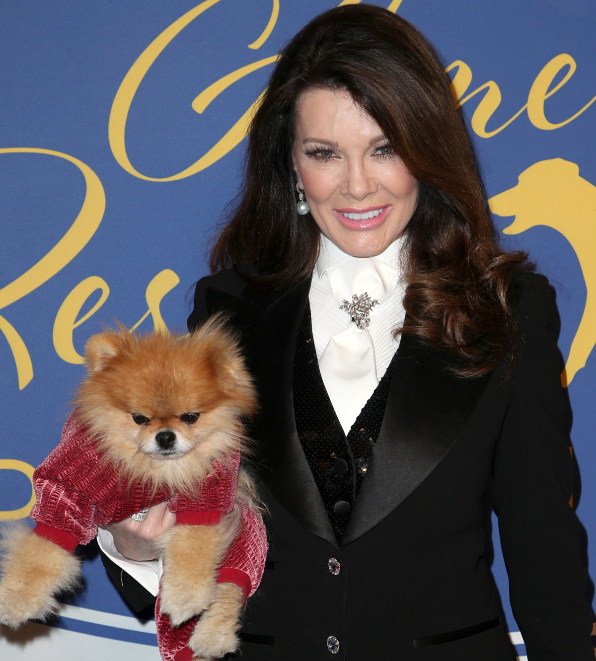 RHOBH Star Lisa Rinna Goes After Lisa Vanderpump Over Potential   Lisa Vanderpump Dogs Reality Show Spinoff 