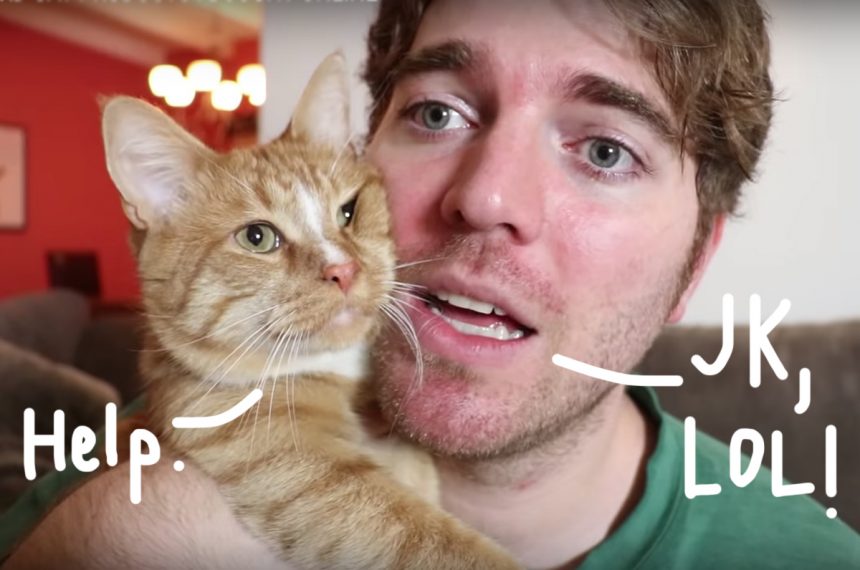 Shane Dawson Wants You To Know He DIDN'T F**k His Cat Read His Apology! Perez Hilton