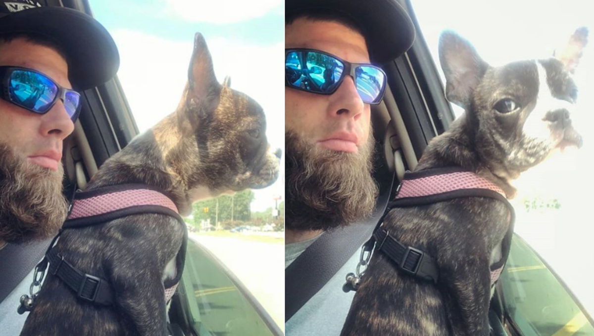 David Eason stands accused of killing Jenelle Evans' dog Nugget.