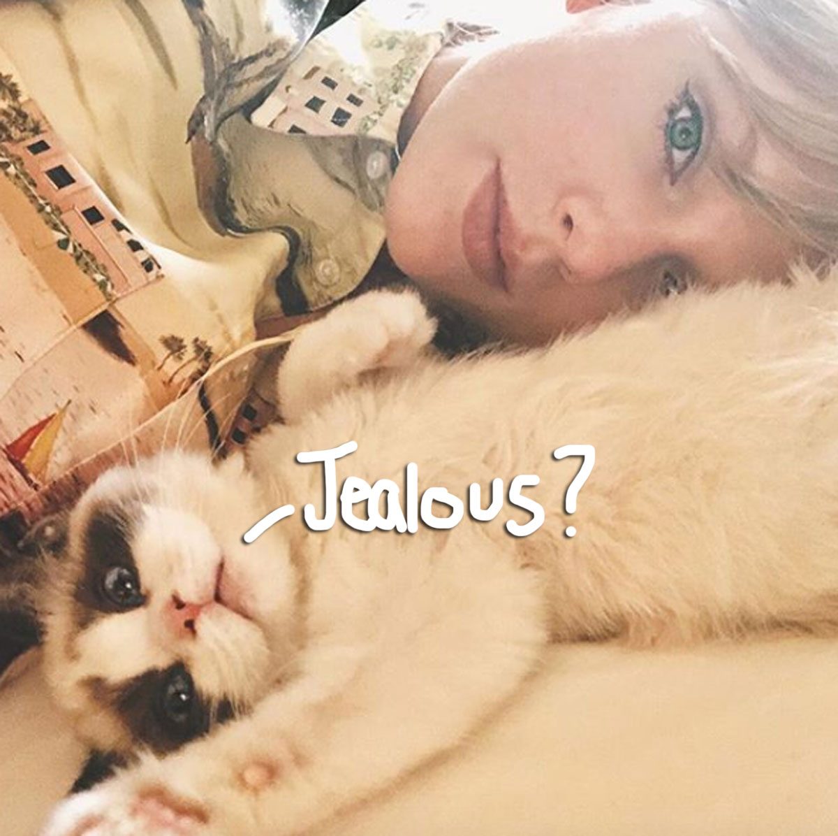 Taylor Swift Confirms She Got Another Cat After Teasing A