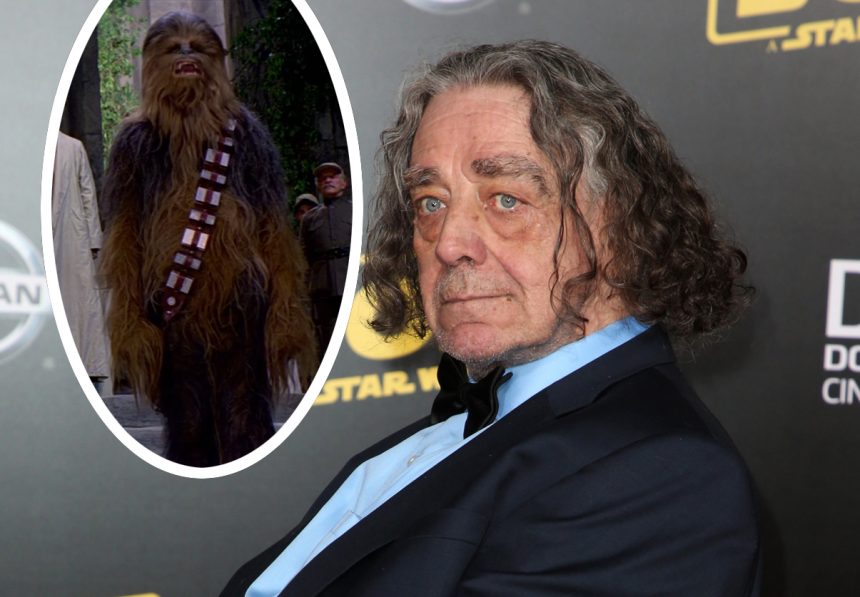Chewbacca Actor Peter Mayhew Dead At 74 Perez Hilton