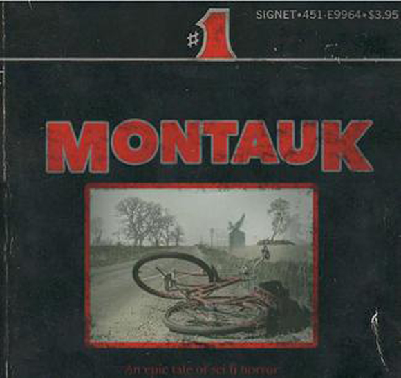 Stranger Things original title Montauk pitch