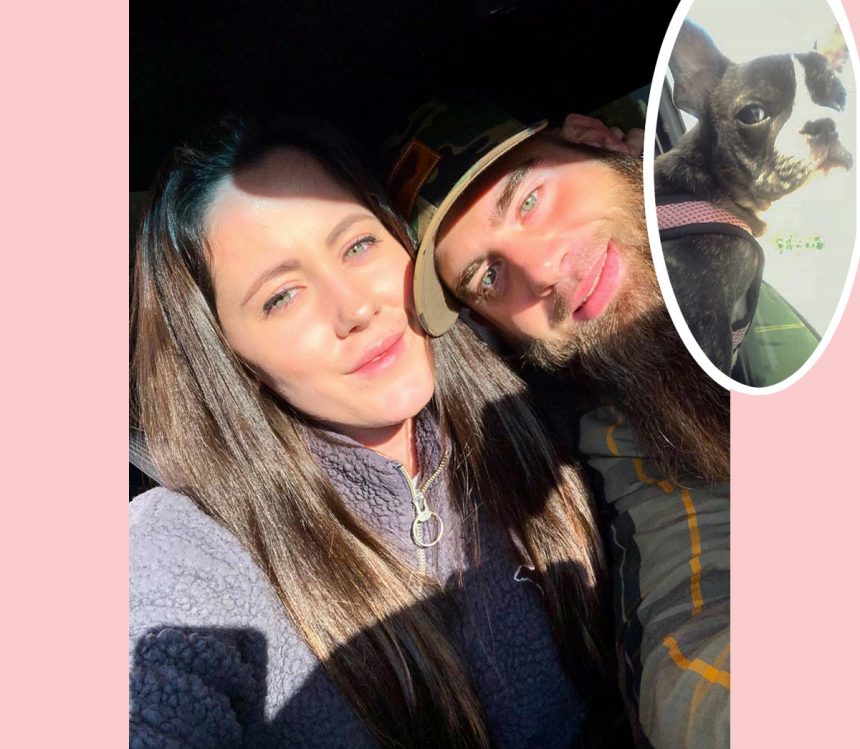 Jenelle Evans Considering Divorcing David Eason Following Dog's Death