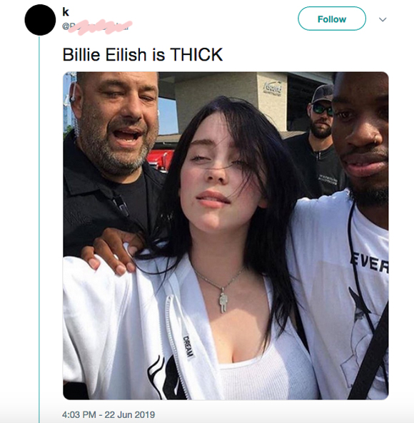 billie eilish fans slam twitter user for sexualizing underage singer celebritytalker com
