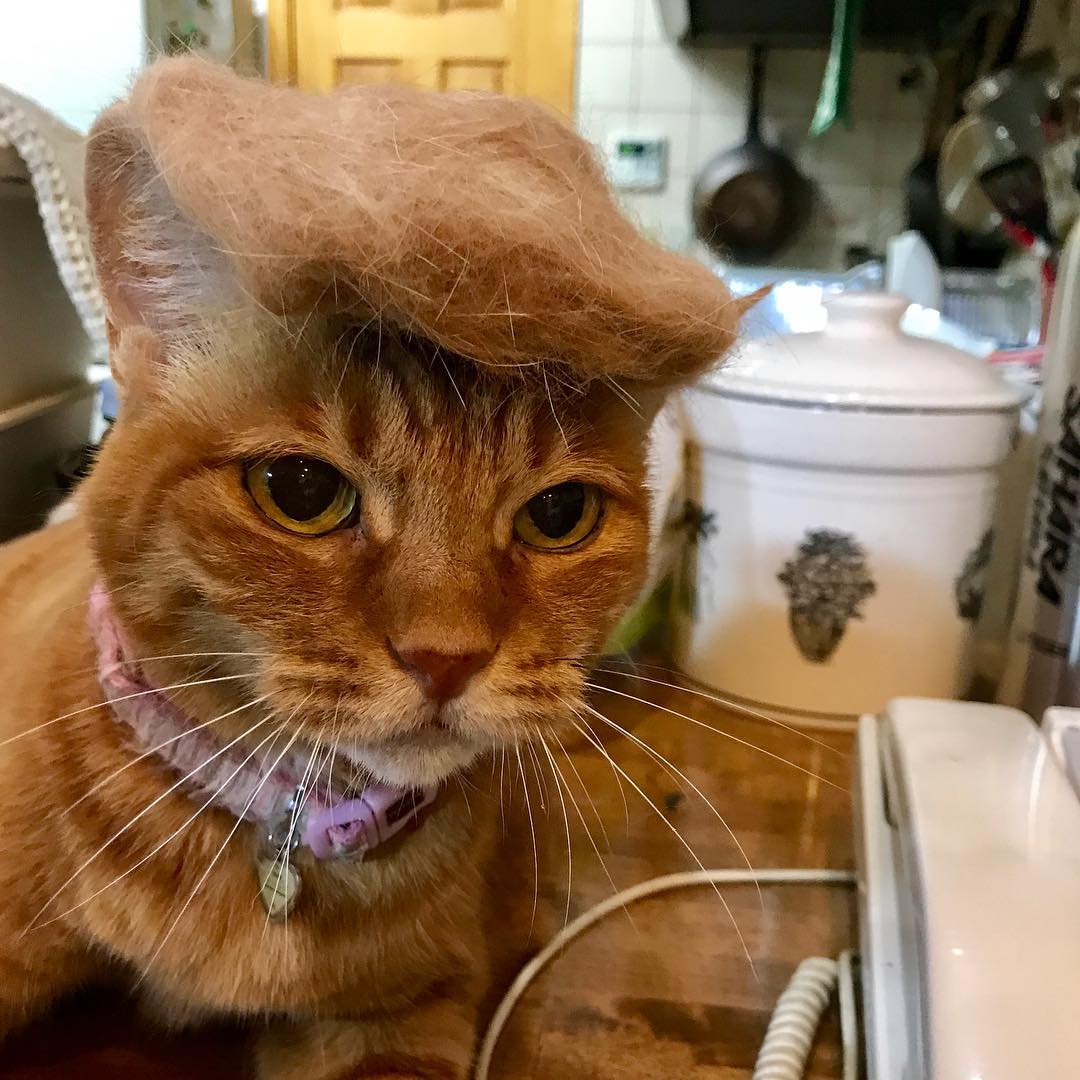 The Perez Hilton Podcast With Chris Booker