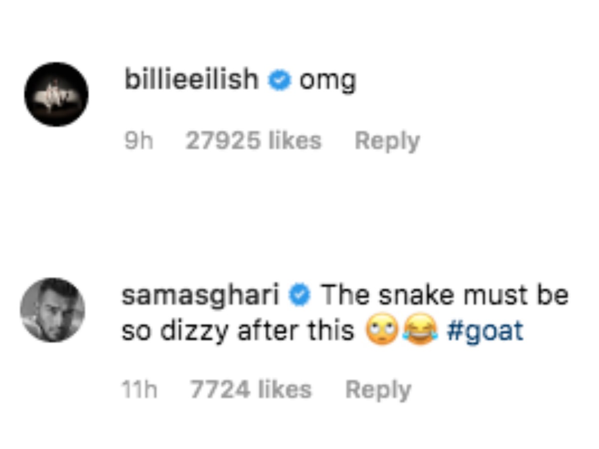 billie eilish and sam asghari comment on video