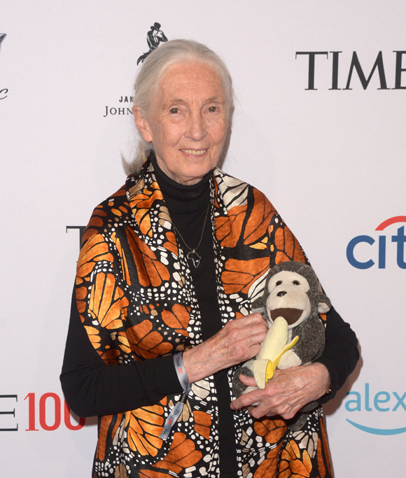 Jane Goodall