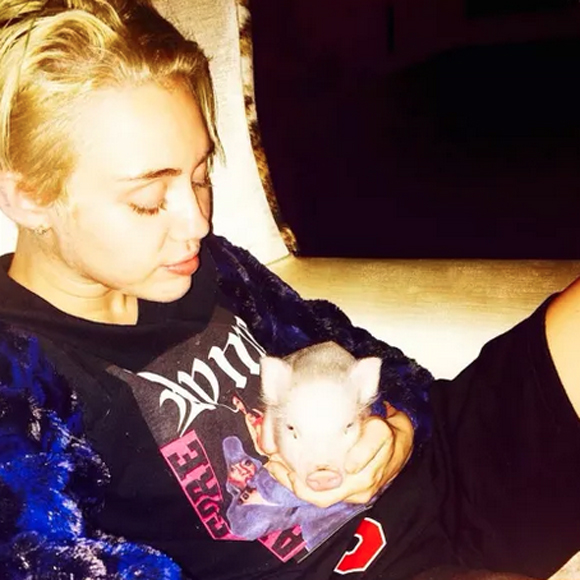 Miley Cyrus Pig Pig 2014