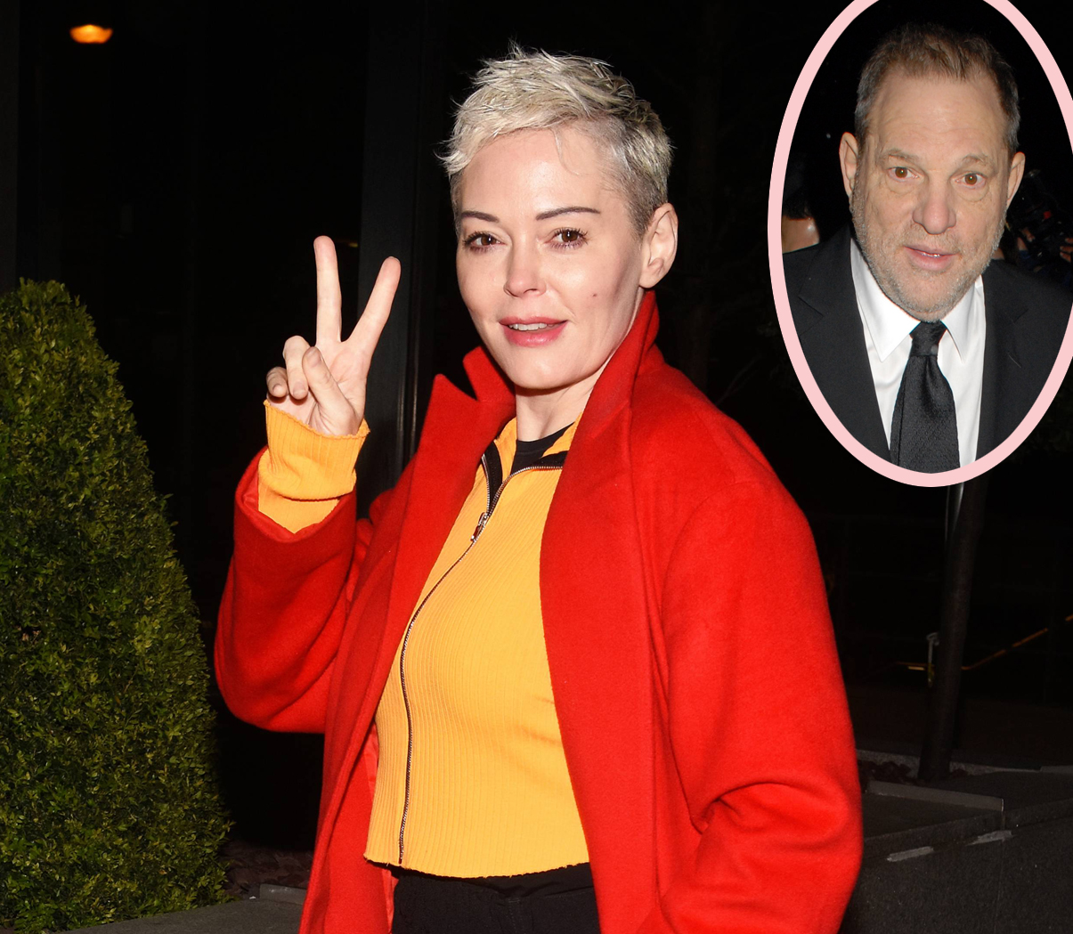 Rose McGowan New York Times Harvey Weinstein Pulitzer
