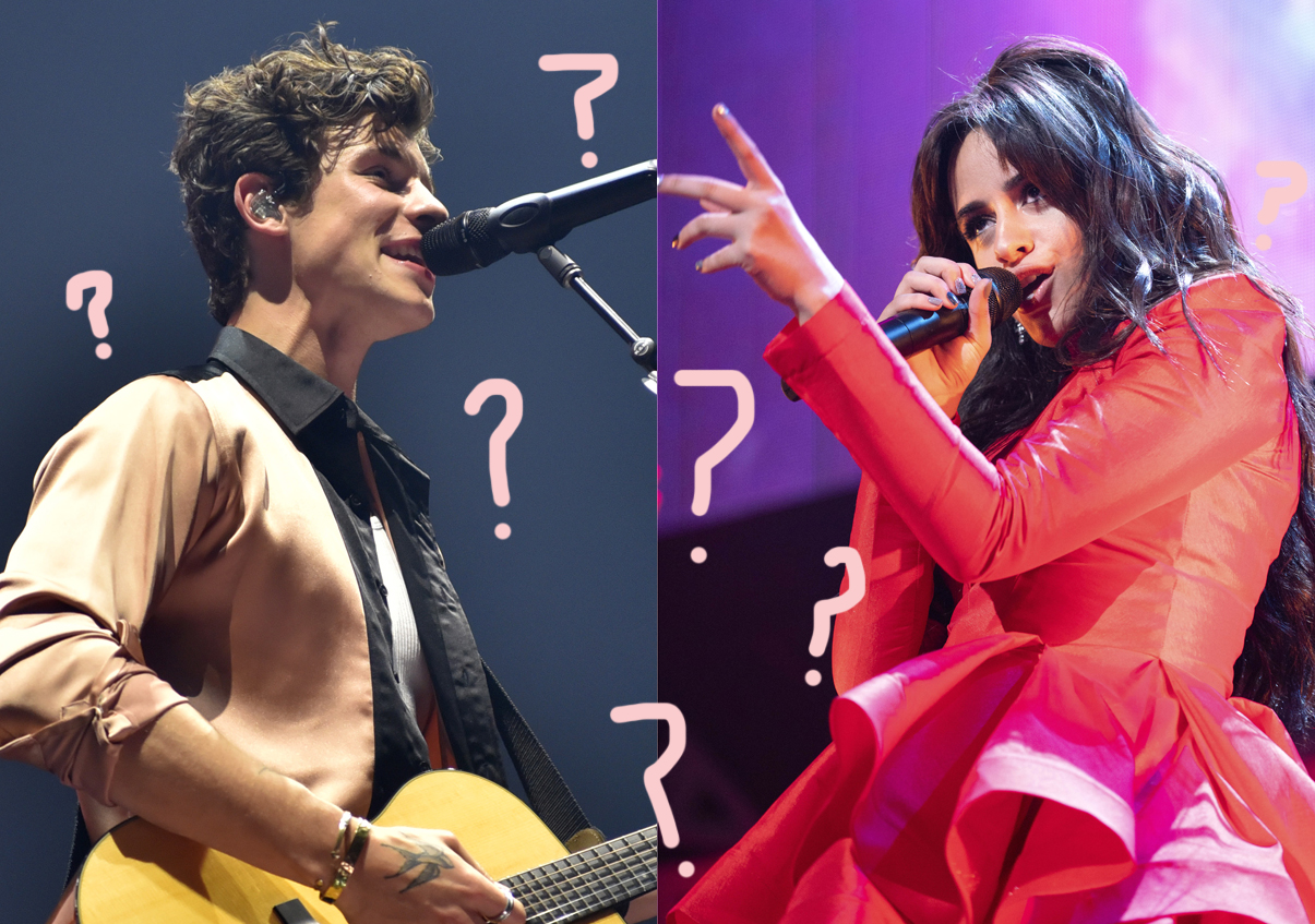 Shawn Mendes Camila Cabello Dating Rumors Evidence Poll