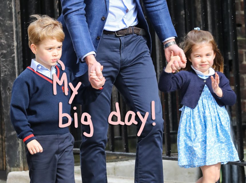 Prince George S Sixth Birthday Portraits Are Absolutely Adorable