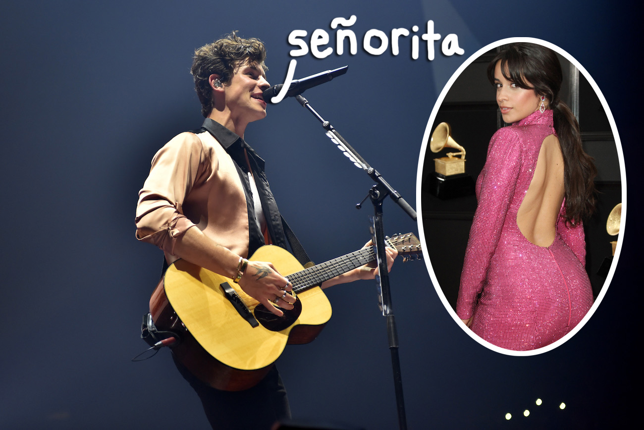 shawn mendes and camila cabello fourth of july party