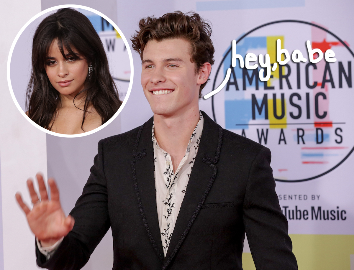 Shawn Mendes & Camila Cabello Started As A 'Summer Fling,' But 'Have