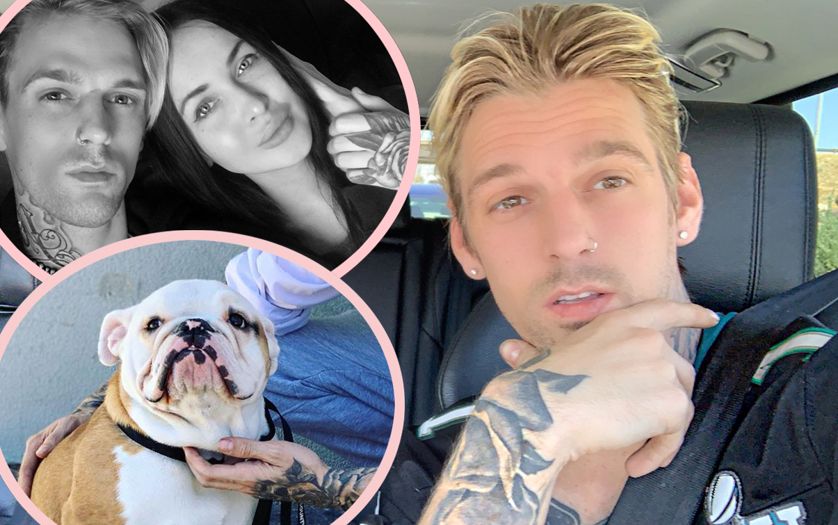 Aaron Carter Splits With Girlfriend AND Gets Accused Of Rescue Dog Scam ...
