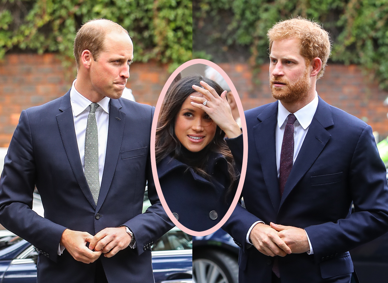 Prince Harry Reportedly Went Ballistic At William Over Relationship Meddling Perez Hilton