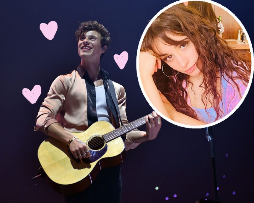 Shawn Mendes Dedicates A Song To Mami Camila Cabello Ahead Of