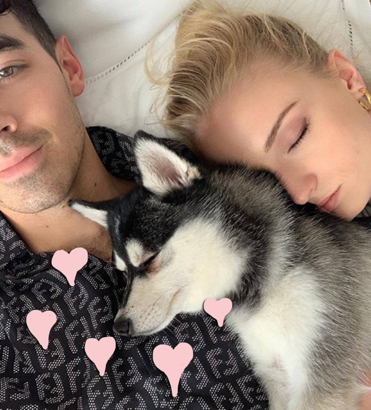 Did Joe Jonas & Sophie Turner Just Add A New Dog To The Family?! Look!