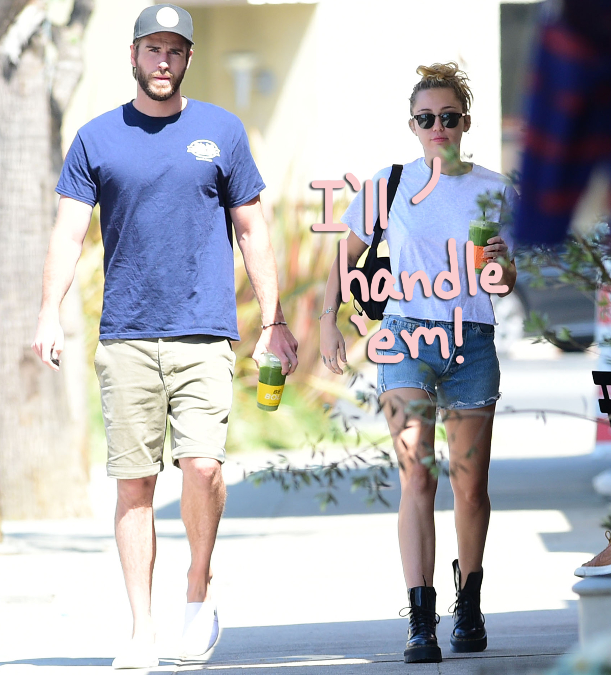 Miley Cyrus Liam Hemsworth divorce pets
