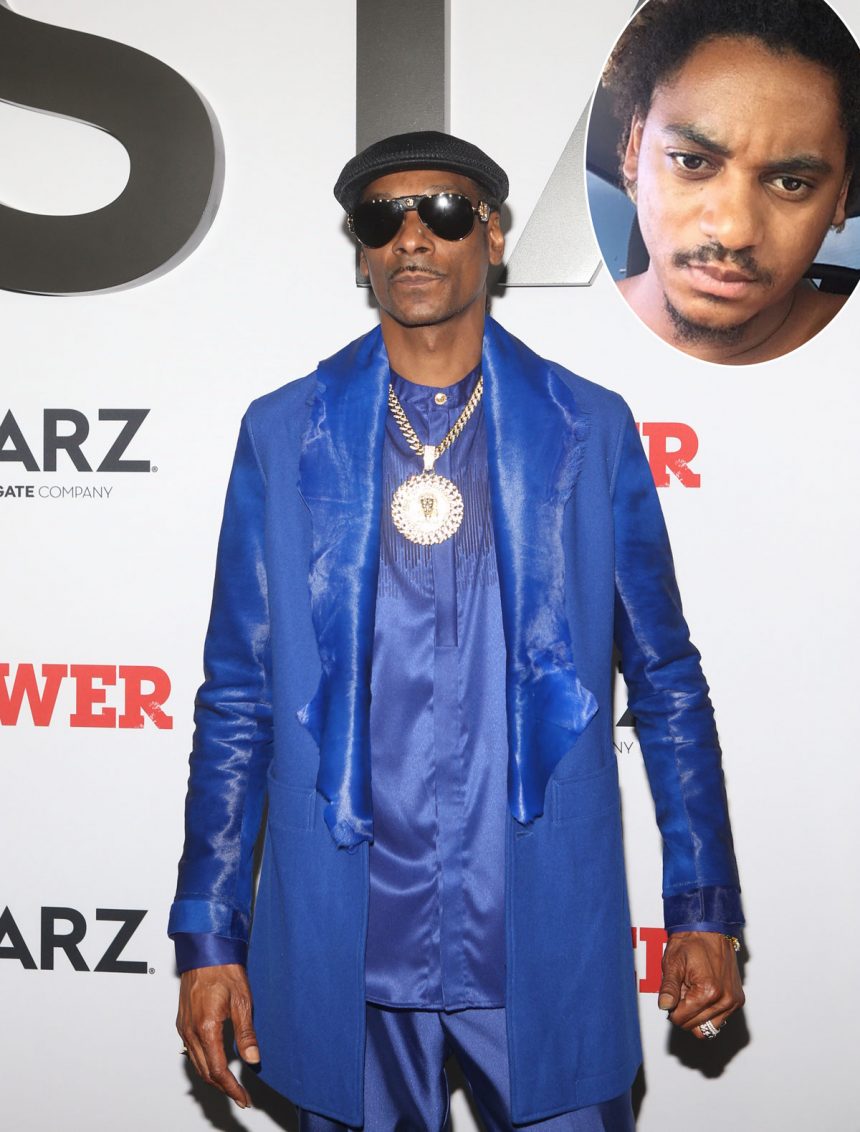Snoop Dogg visual data 5