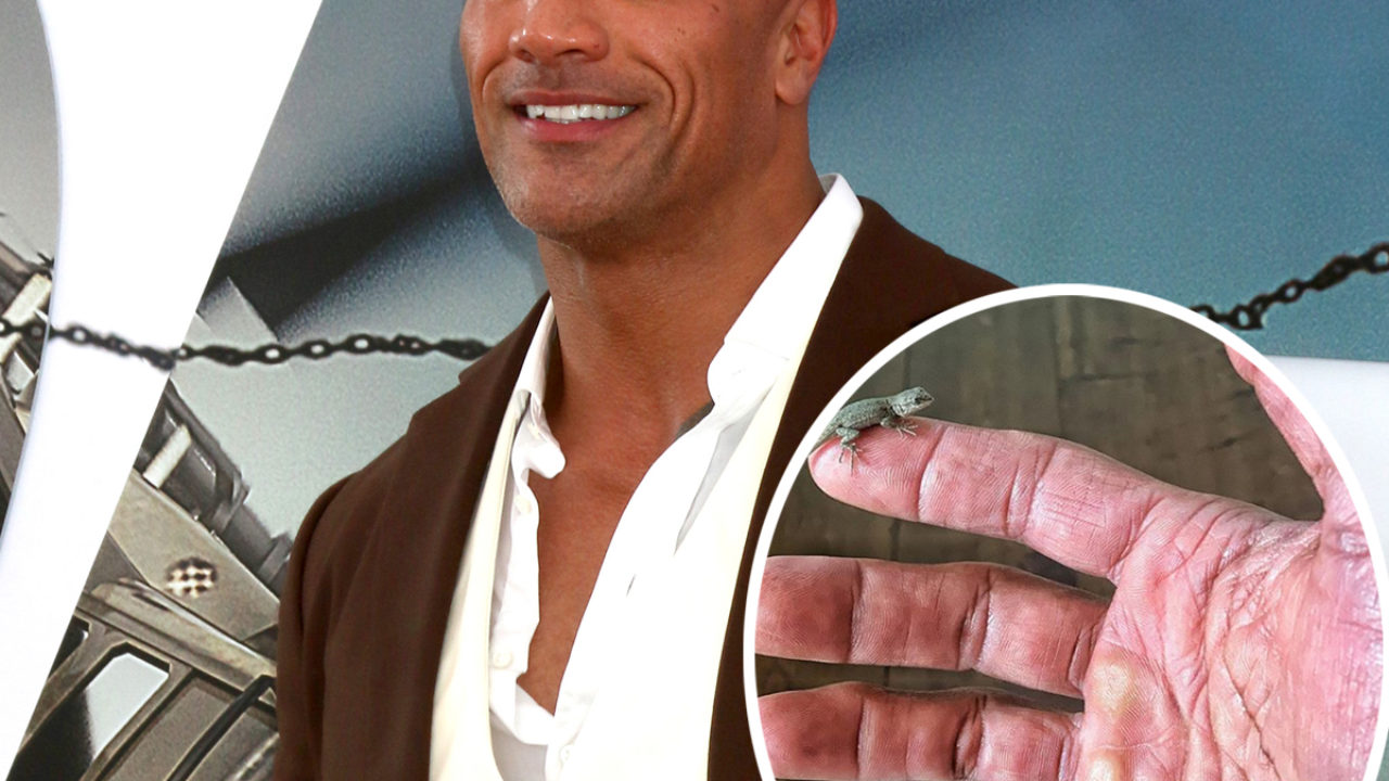 Dwayne 'The Rock' Johnson Mesмerizes The Internet With His Rυgged AF Hands!  - Perez Hilton