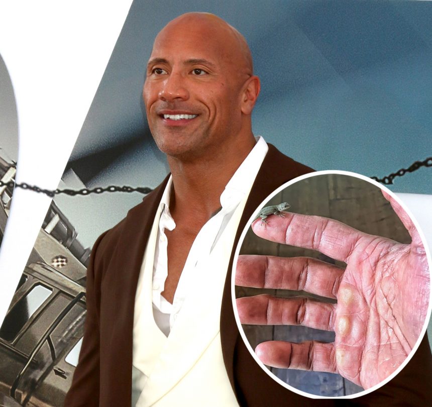 Dwayne The Rock Johnson Mesmerizes The Internet With His Rugged Af