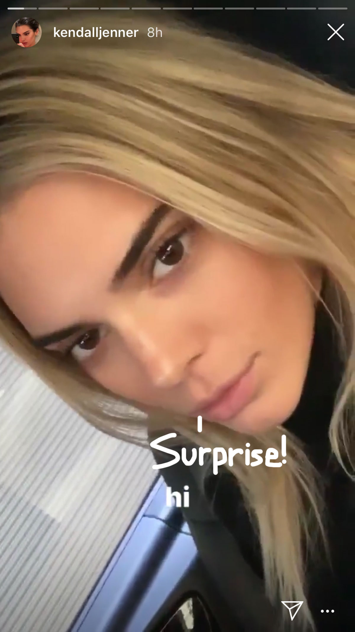 Kendall Jenner Goes Blonde But Is It A Wig Perez Hilton