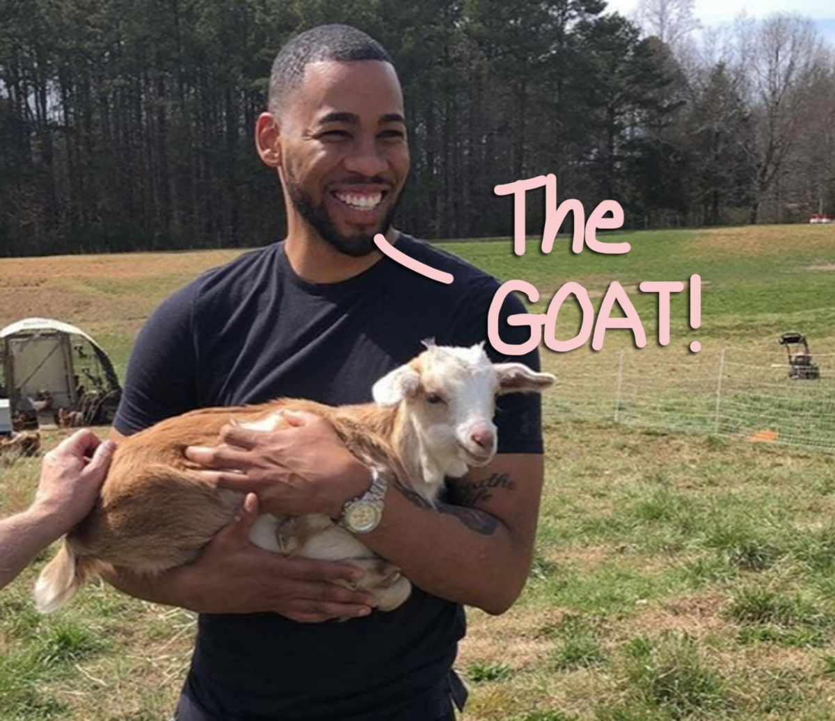 The Bachelor Mike Johnson reaction