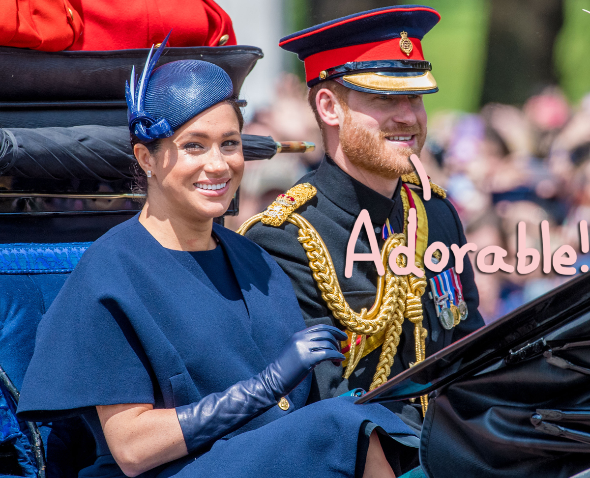 Page 3226 Perez Hilton