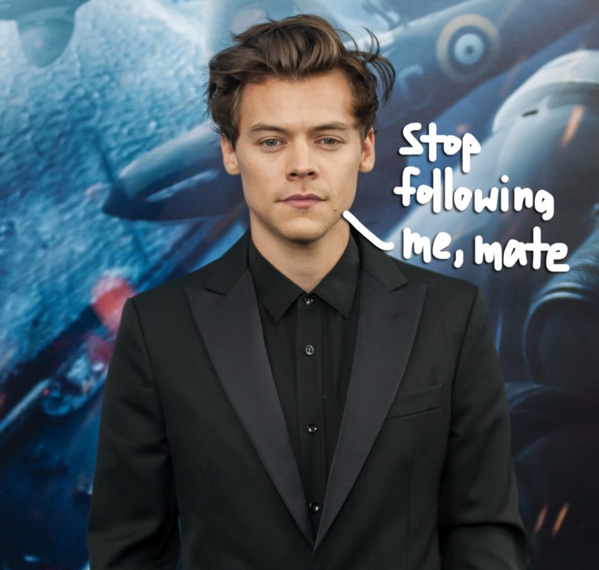 Harry Styles Terrorized By Homeless Stalker For 3 Months - 