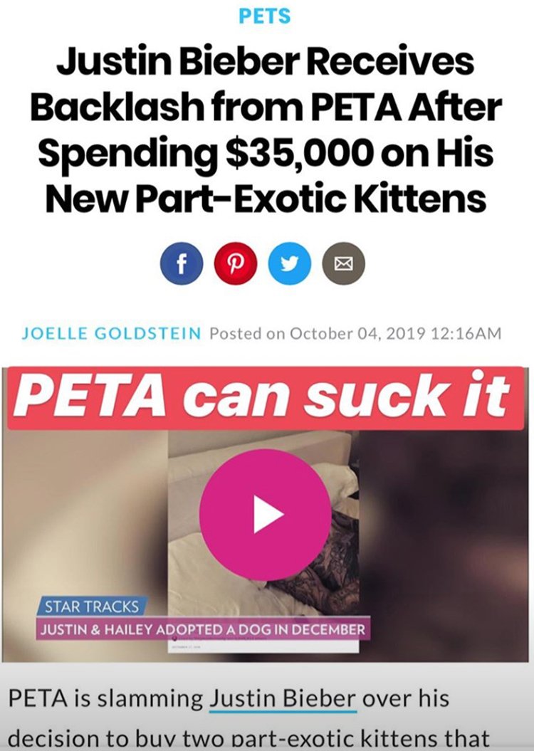 Justin Bieber PETA savannah cats controversy