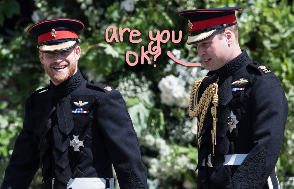 prince william harry worried