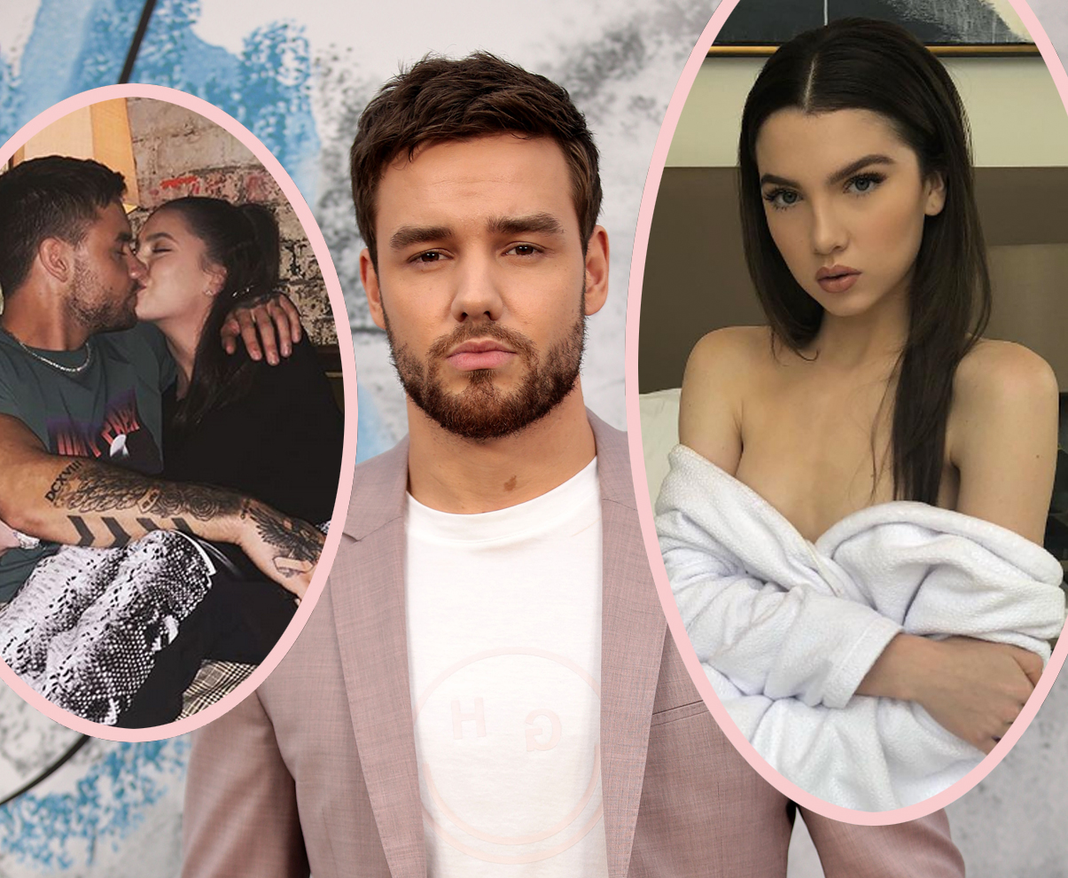 Fans Think Liam Payne & His Girlfriend Are Lying About Her ...