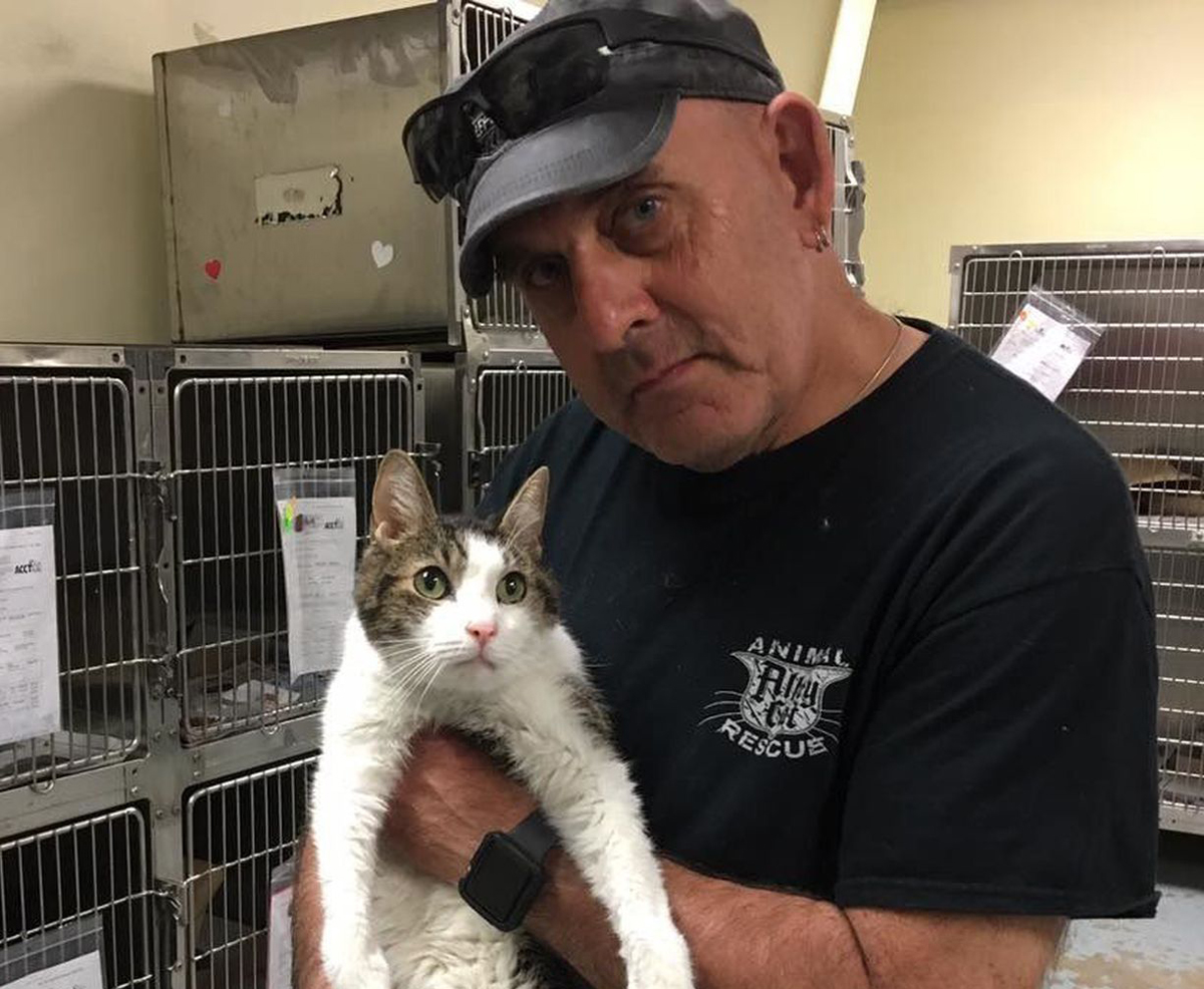 Animal rescuer beaten to death