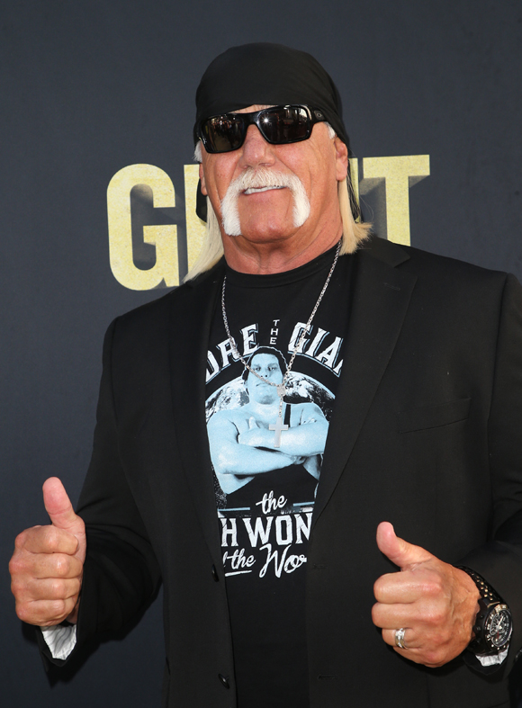  Hulk Hogan sex tape