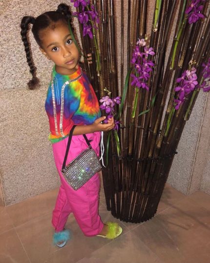 Kim Kardashian West's Four-year-old Daughter North West Owns Personalized  Goyard Handbag Worth 1,095 Pounds!