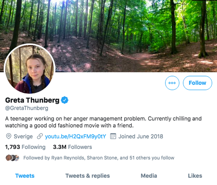 Greta Thunberg Twitter bio trolls President Trump