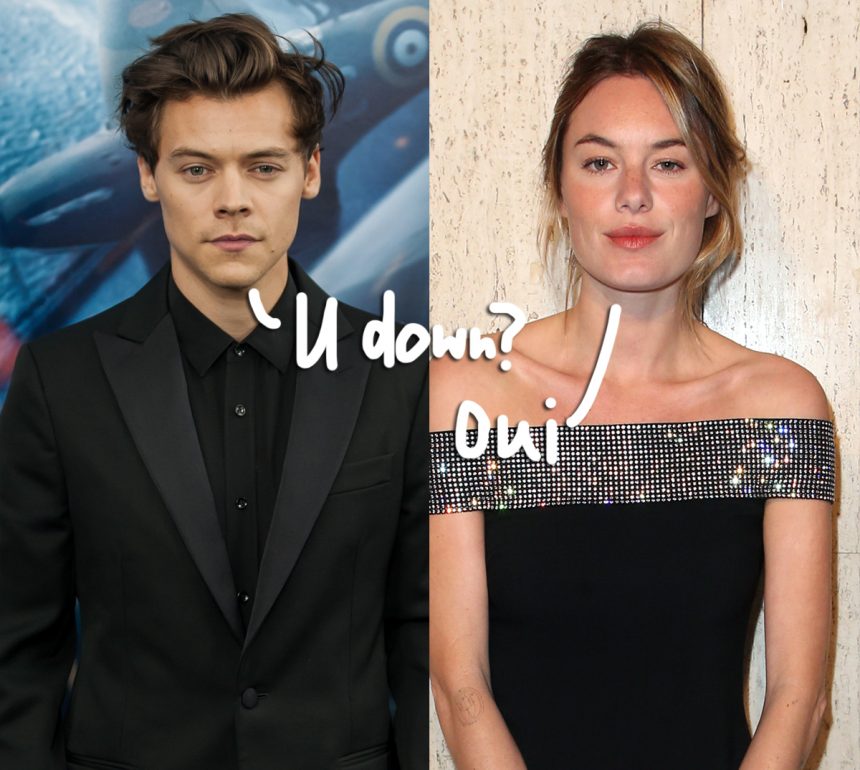 Harry Styles Puts A Voicemail From Ex Camille Rowe In His