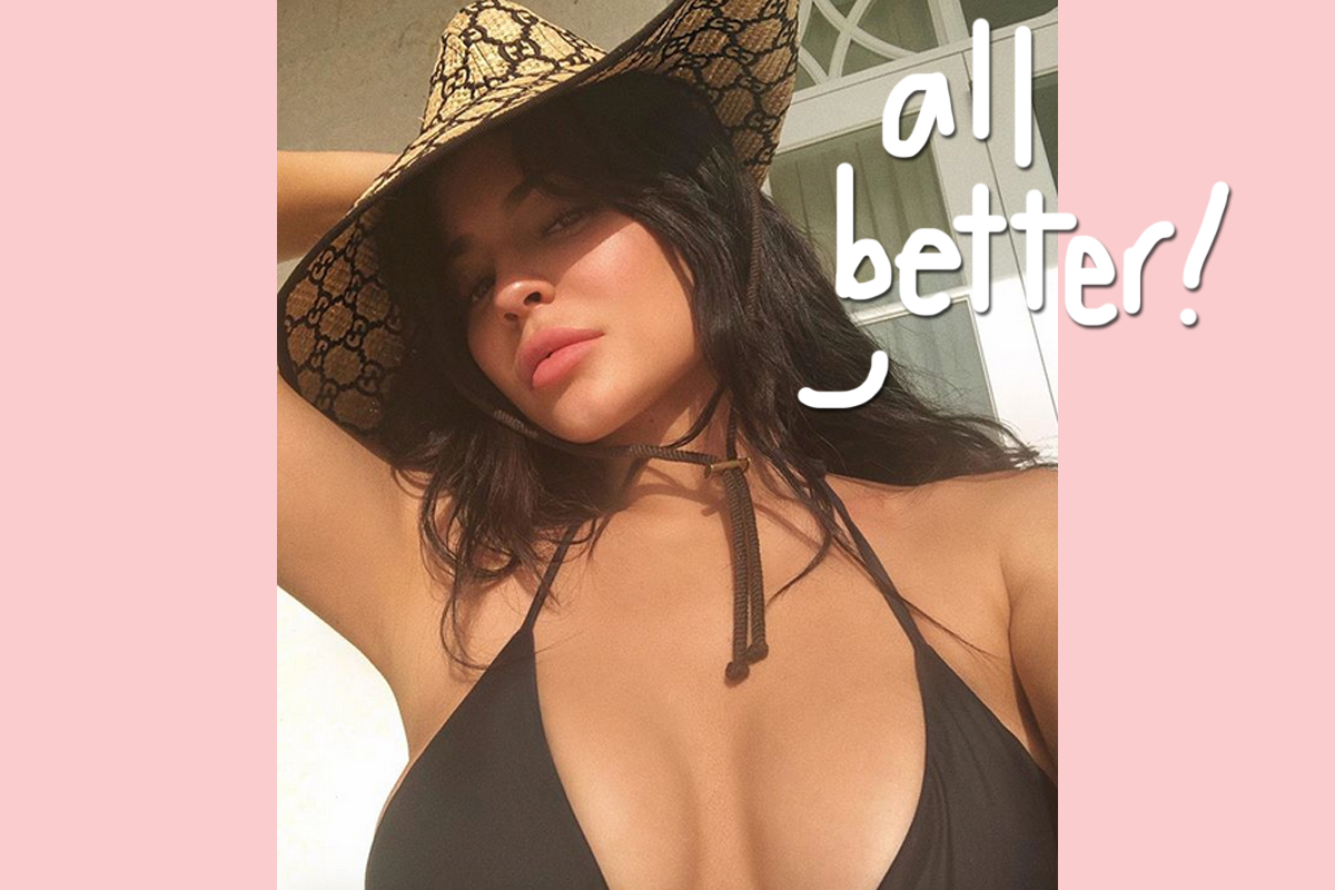 Kylie Jenner Australia Fires Donated Million Dollars