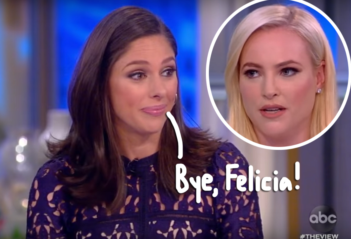 Abby Huntsman Left 'The View' Over 'Toxic' Environment & A 'Soured ...