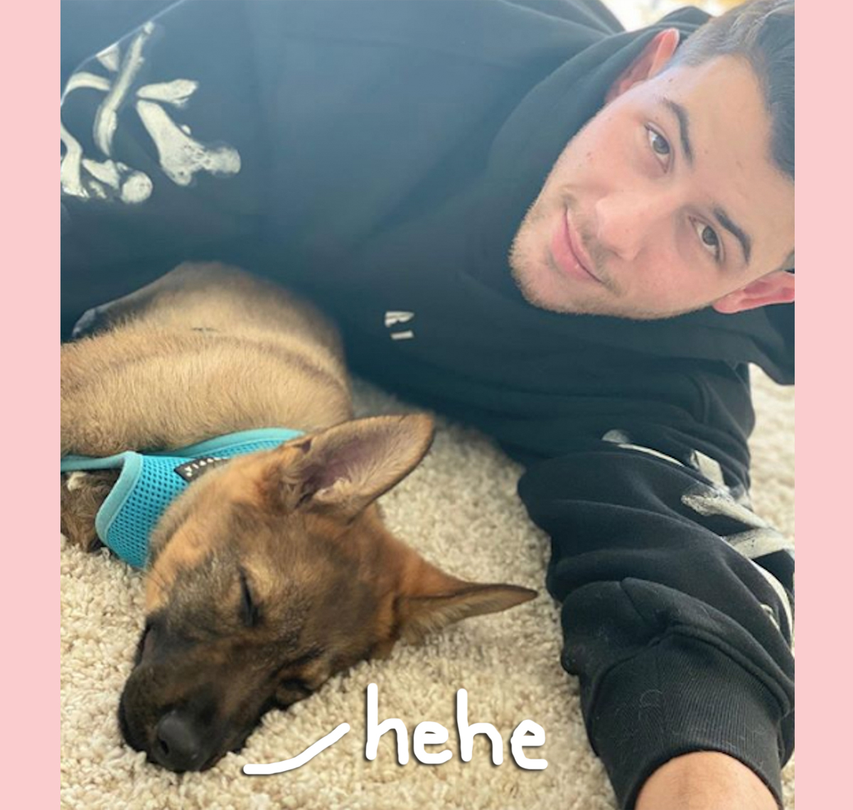 Nick Jonas & Priyanka Chopra's Naughty Puppy Gino Is 'Ripping Up Everything,' Oops!