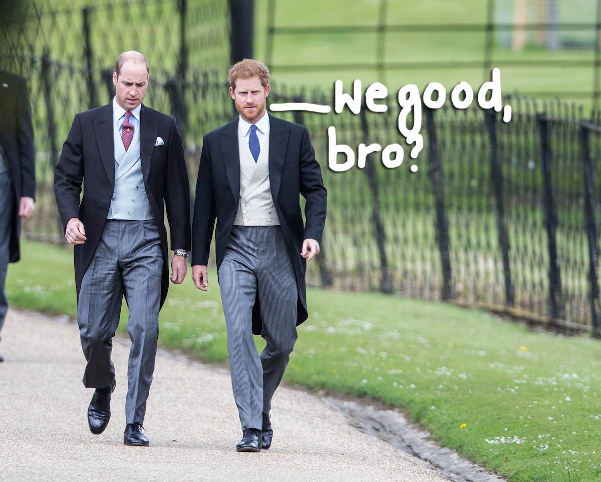 Prince Harry And Prince Williams Feud Is Reportedly Over Following Man To Man Chat Perez Hilton 6182