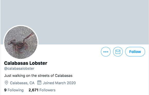 Someone created a Twitter account for a random lobster Kim Kardashian discovered in Calabasas.