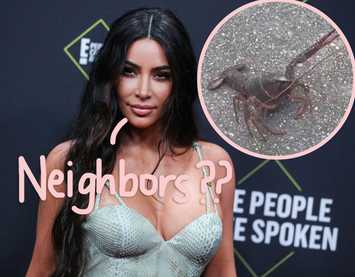 Kim Kardashian documents a lobster roaming the streets of Calabasas.